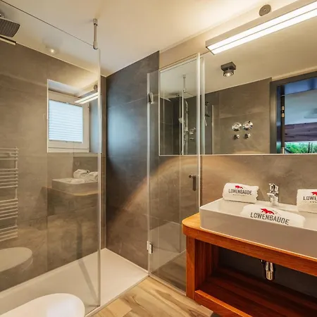 Baude VI - Loewenbaude Braunlage Appartement Buitenkant foto
